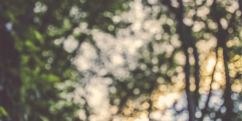 智能照明新境界：雷朋LED镜片技术如何为博物馆导览员打造展品细节的最佳观赏光线