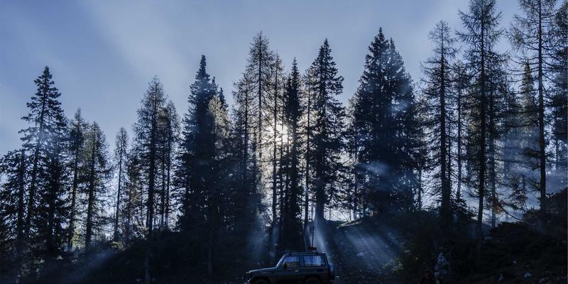 智能照明新篇章：雷朋LED技术如何为老年性黄斑变性患者提供专业防护