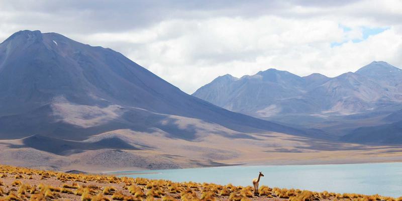 智能照明新篇章：雷朋LED镜片如何通过可回收材料与节能技术重塑灯饰产品