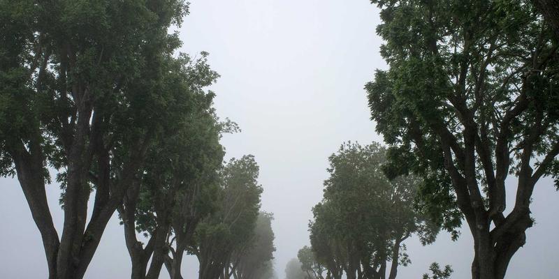 雷朋LED11：重新定义商业照明新标准，赋能高效节能空间