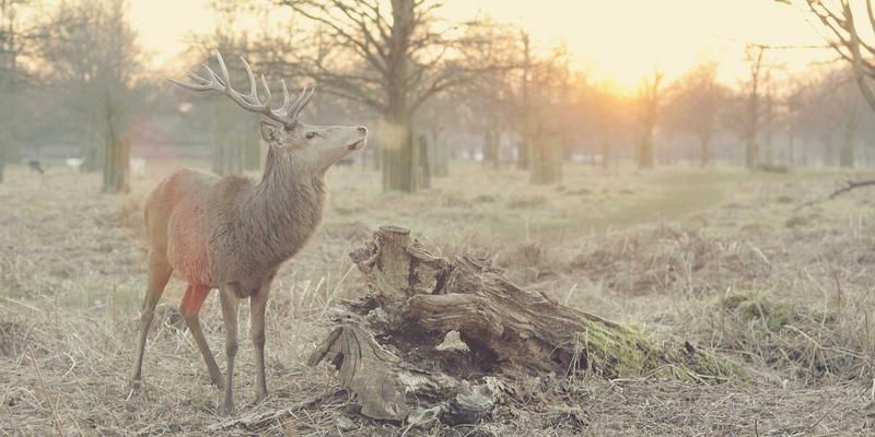 雷朋LED66:重塑商业照明新标准,节能与性能的卓越平衡
