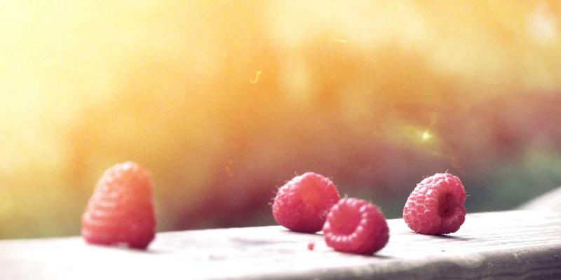 雷朋LED8：重新定义室内照明，开启节能新篇章