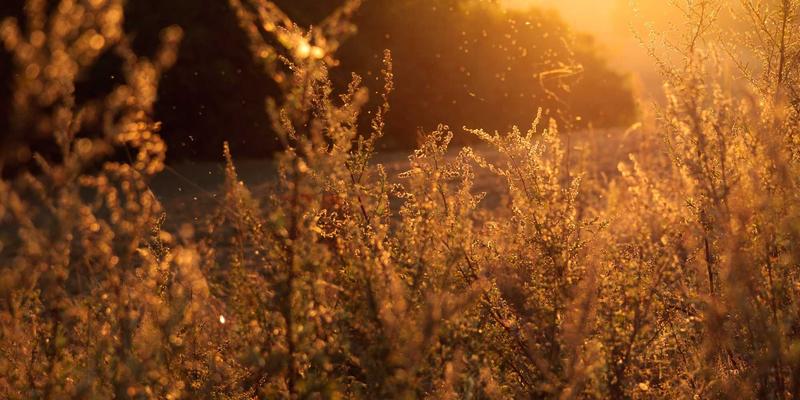 雷朋LED94：重新定义室内照明的智能灯饰新标杆