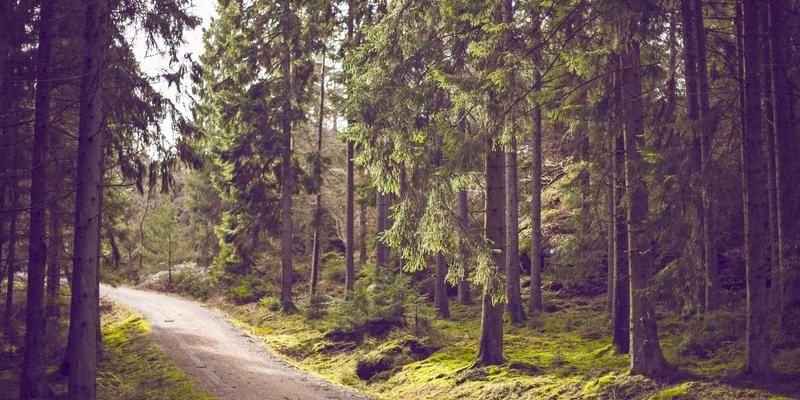 雷朋LED与智能照明：用穿戴式光疗技术对抗季节性情绪失调