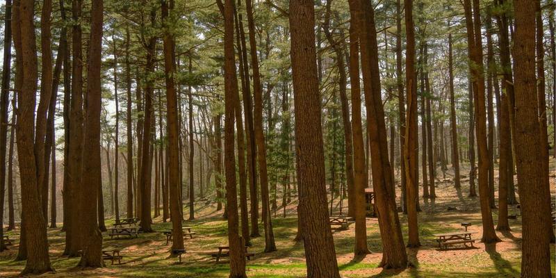 雷朋LED室内照明：植物工厂不同生长阶段的节能灯具全光谱解决方案