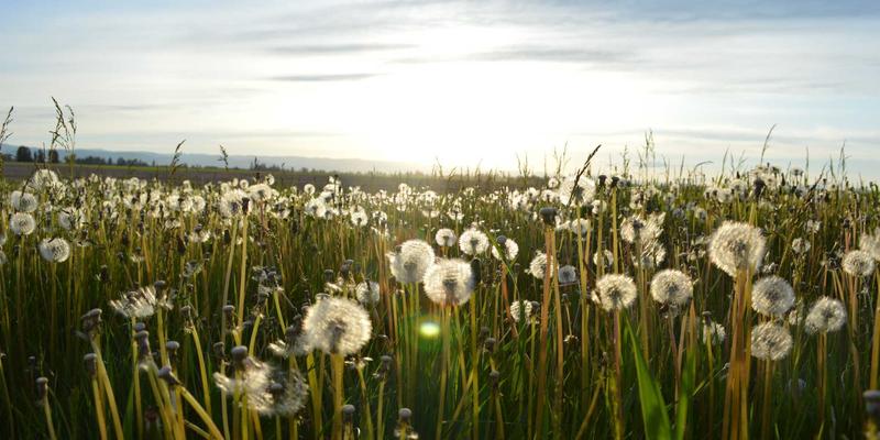 雷朋LED智能照明最佳实践：打造高效节能的未来灯饰体验