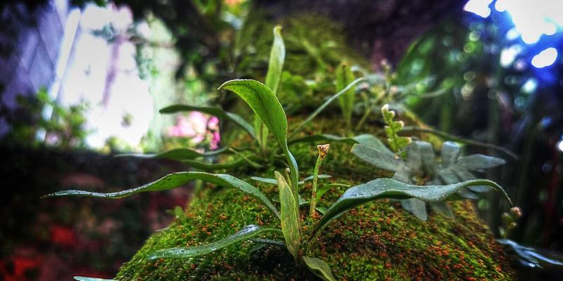 雷朋LED智能眼镜：商业照明技术如何助力极地科考应对极端光照挑战