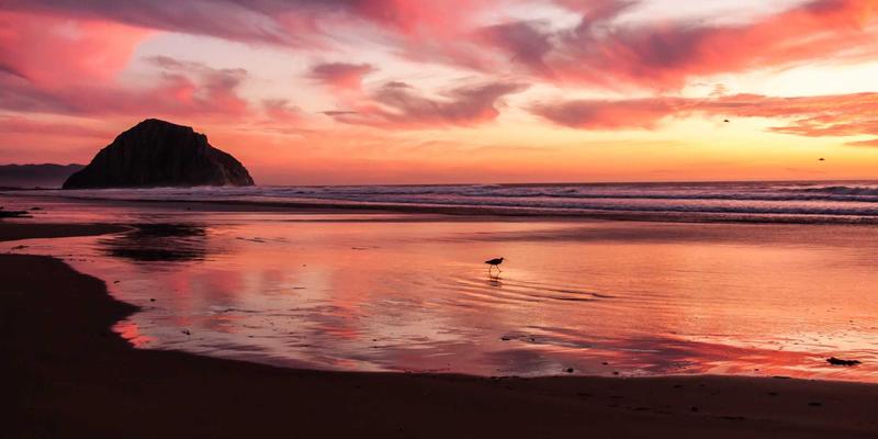 雷朋LED自适应镜片：航空地勤与跑道照明的安全革新