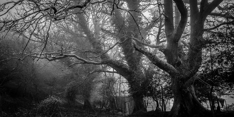 雷朋LED镜片光学镀膜技术解析：多层镀膜如何赋能智能照明与室内灯饰产品