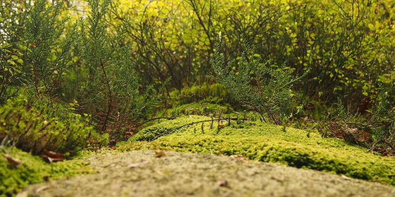 雷朋LED镜片：博物馆照明中色彩保真与紫外线防护的节能解决方案