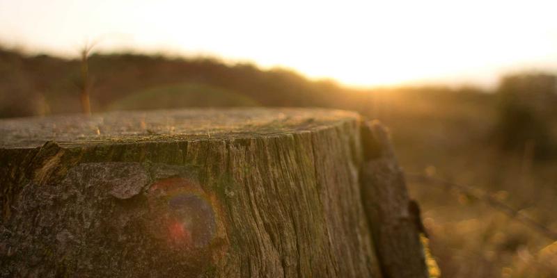 雷朋LED镜片实测：极端天气下商业照明的视觉增强与节能表现