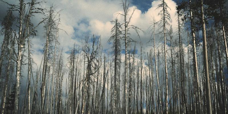 驾驶视野革命：雷朋LED智能镜片与普通偏光镜的照明性能深度对比